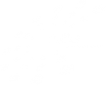 logo_alfa_w